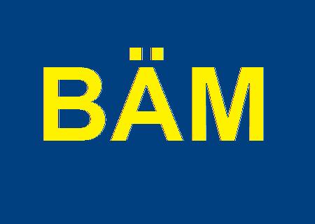 Gefolge der Session 2009/2010 rockt die Sitzung!